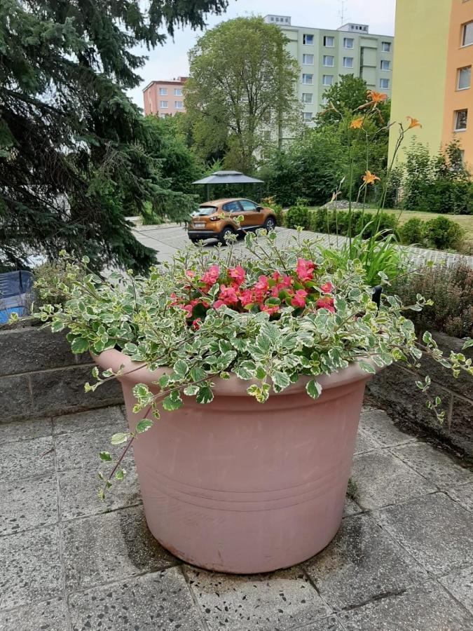Zluty Apartman A6 V Chomutove Apartment Exterior photo
